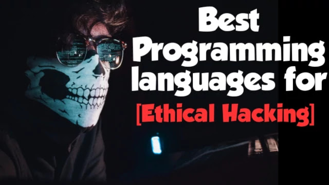 best-programming-languages-for-hacking